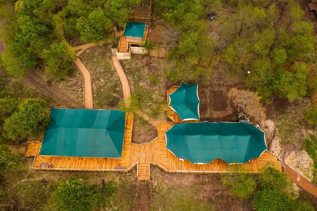 Lifetime Safaris