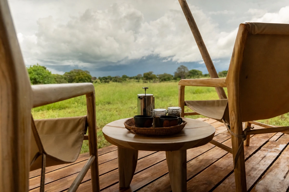 Lifetime Safaris