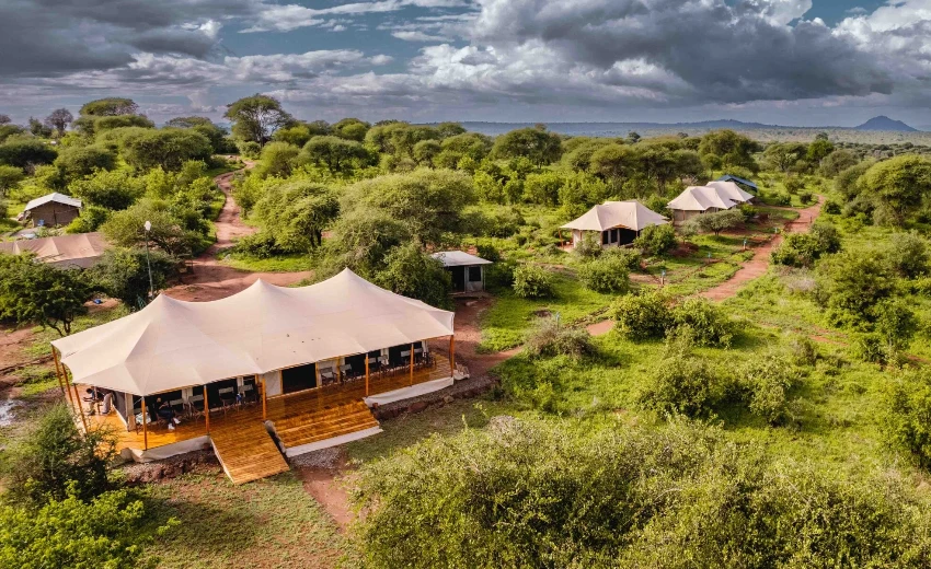 Lifetime Safaris