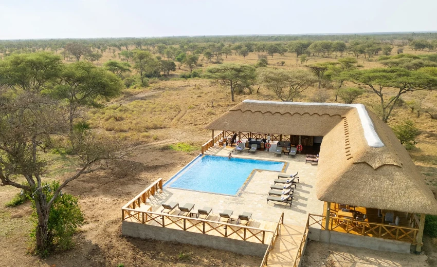Lifetime Safaris