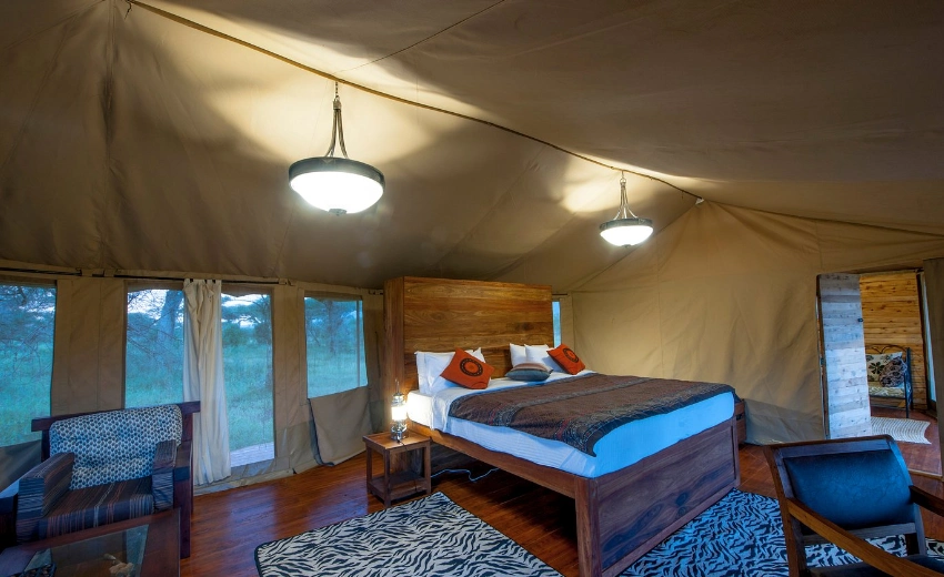 Lifetime Safaris