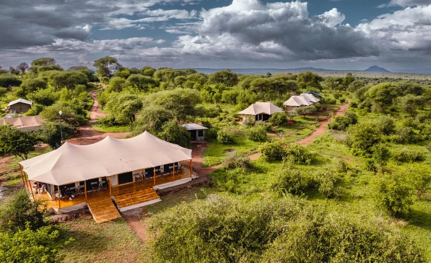 Lifetime Safaris