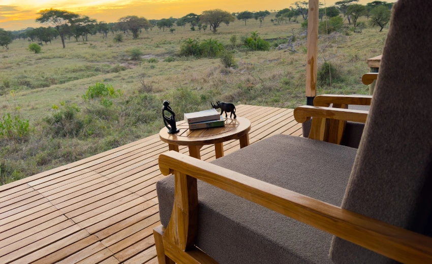 Lifetime Safaris