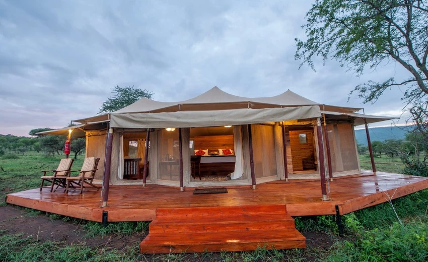Lifetime Safaris