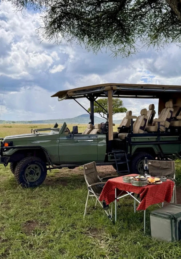 Lifetime Safaris