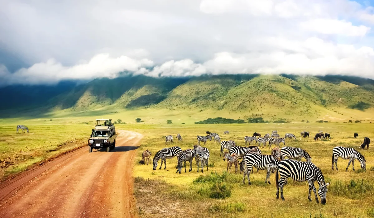 Lifetime Safaris