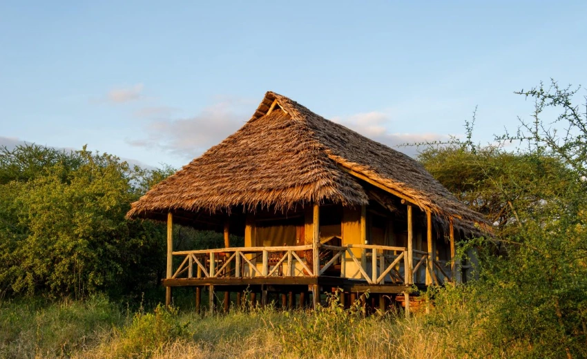 Lifetime Safaris