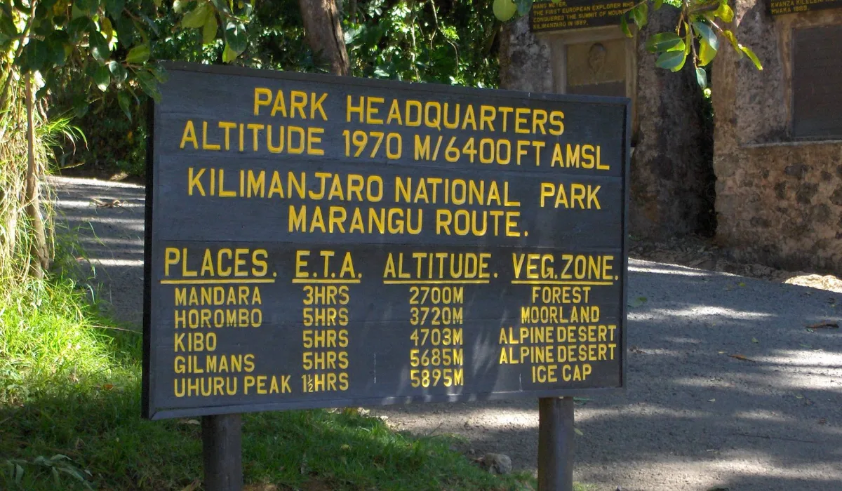 Lifetime Safaris