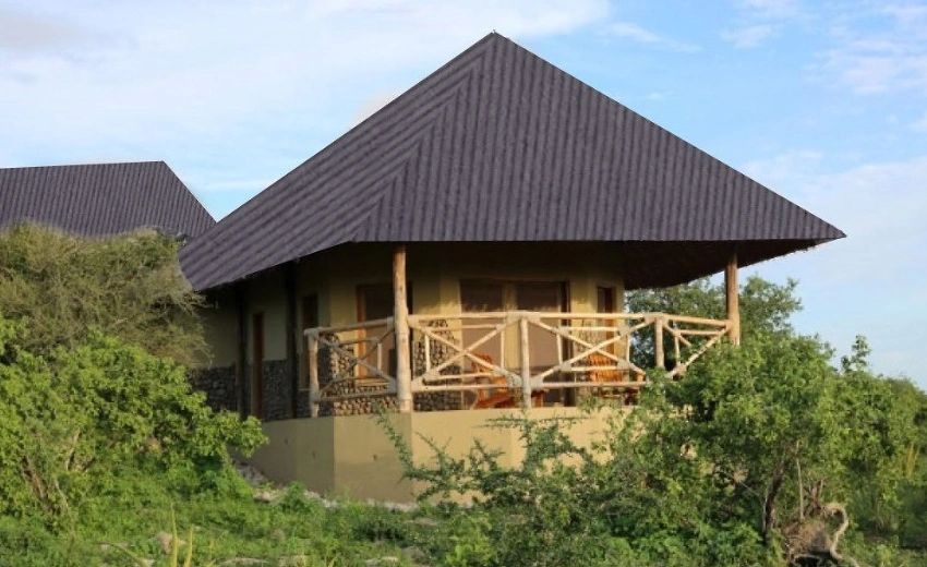 Lifetime Safaris