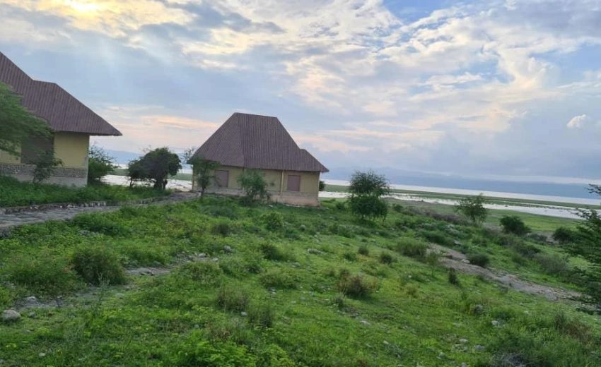 Lifetime Safaris