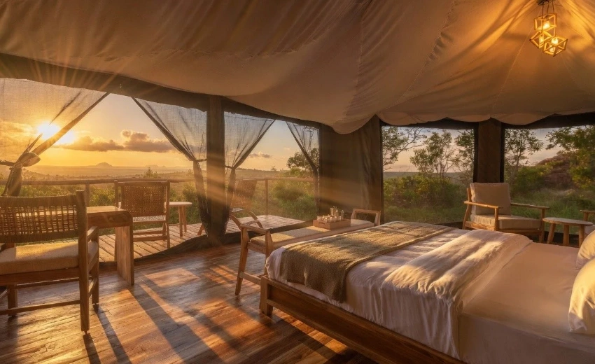 Lifetime Safaris