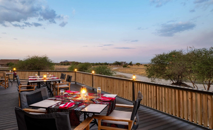 Lifetime Safaris
