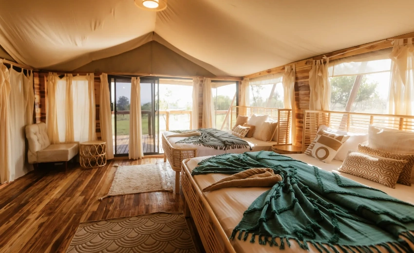 Lifetime Safaris