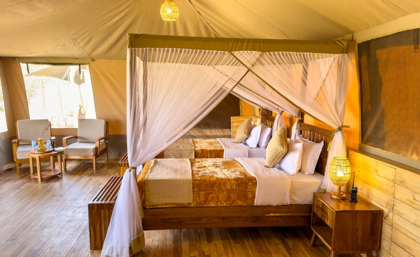 Lifetime Safaris