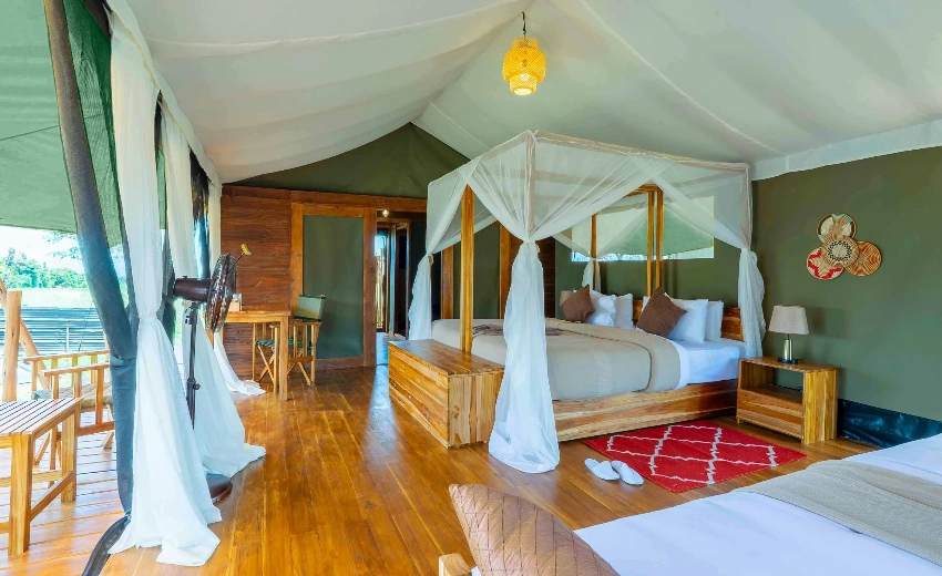 Lifetime Safaris