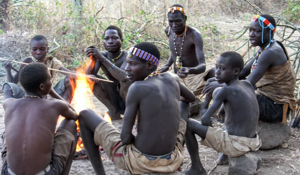 Lifetime Safaris