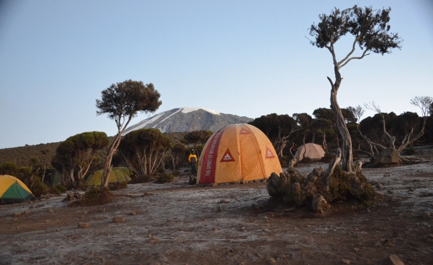 Mweka Camp