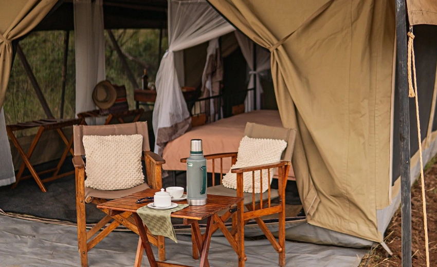 Intimate Camp Zebra