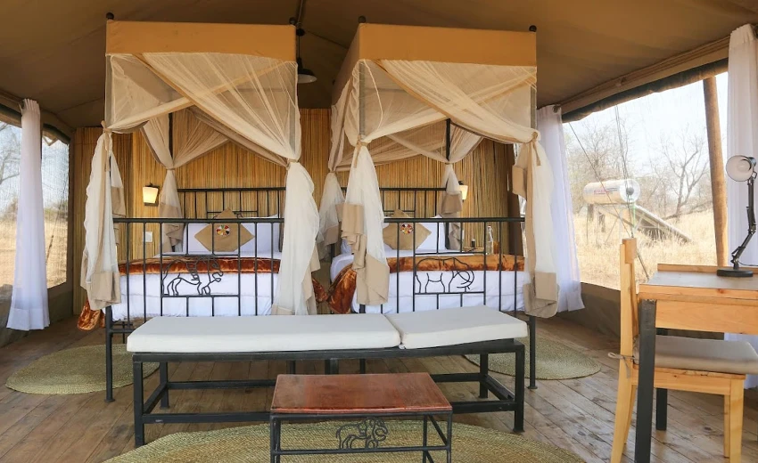 Lifetime Safaris