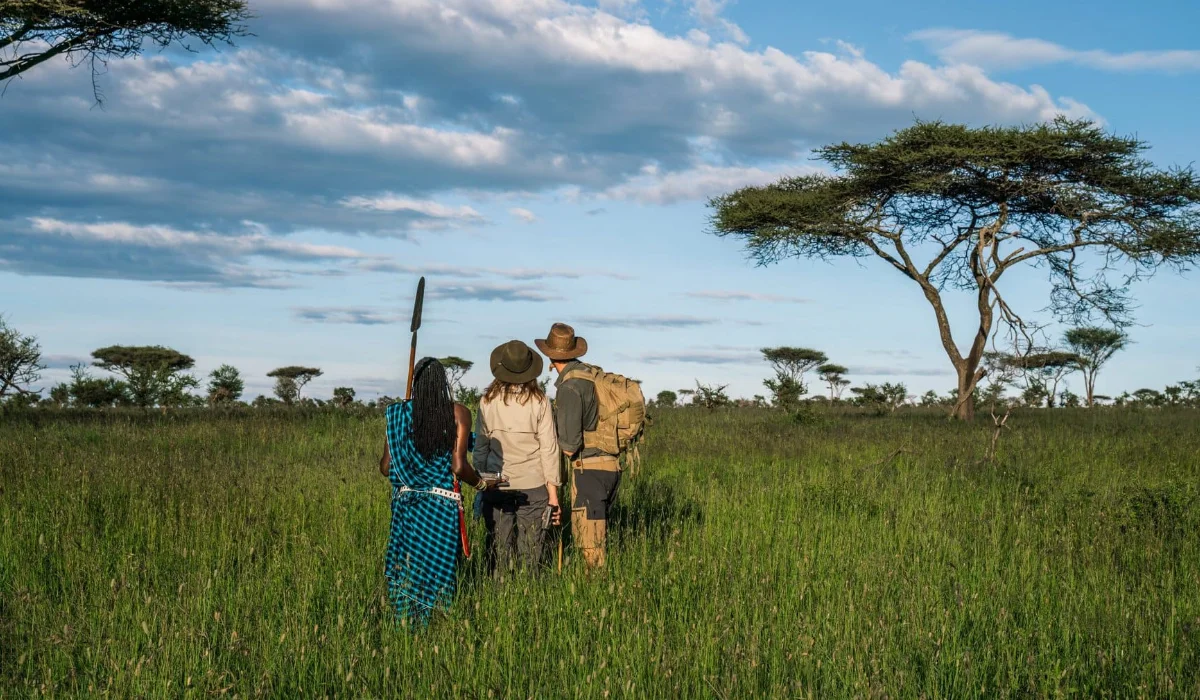 Lifetime Safaris