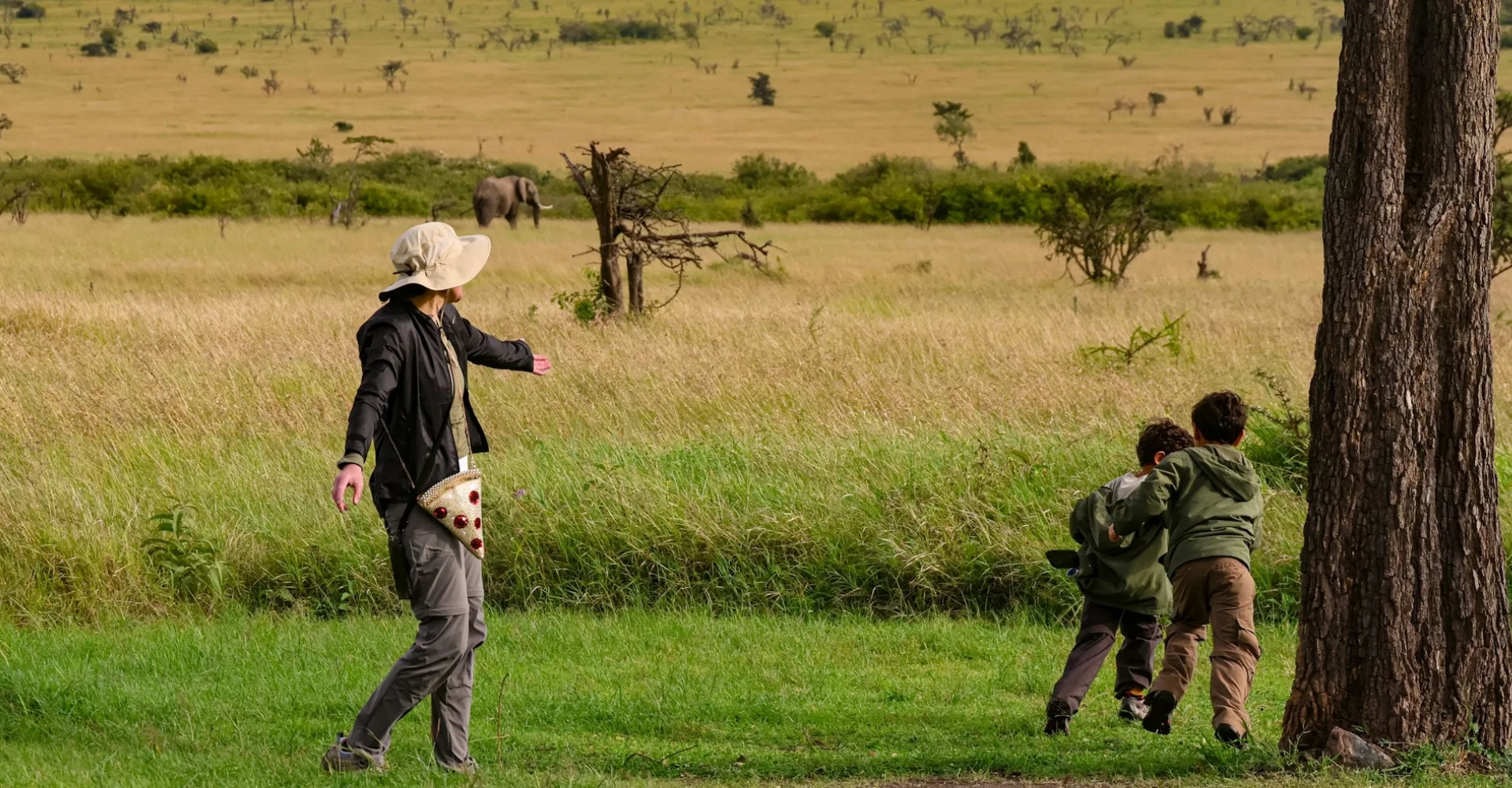 Lifetime Safaris