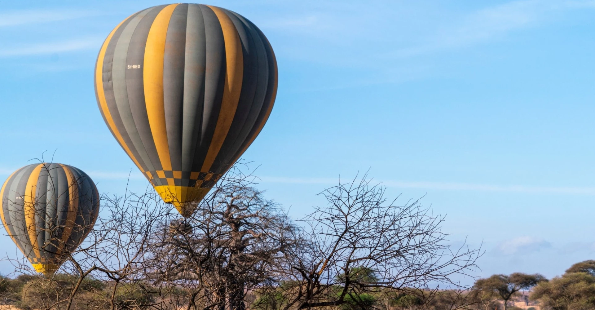 Lifetime Safaris