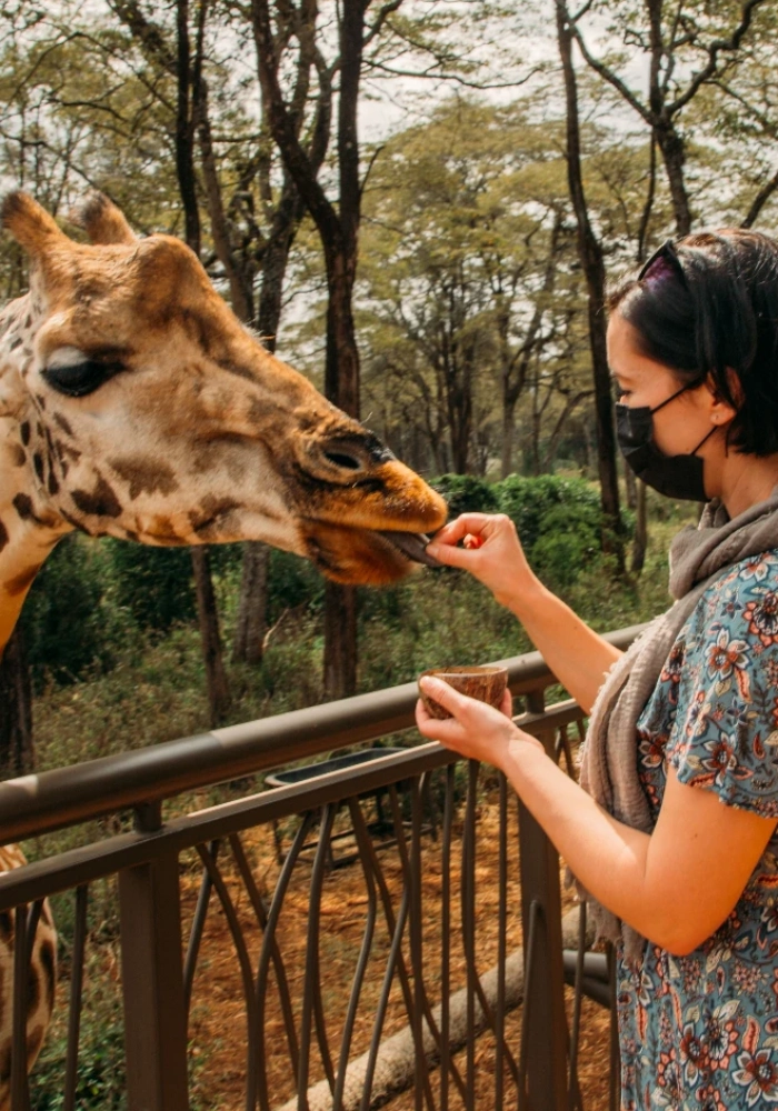 Kenya Safari FAQs
