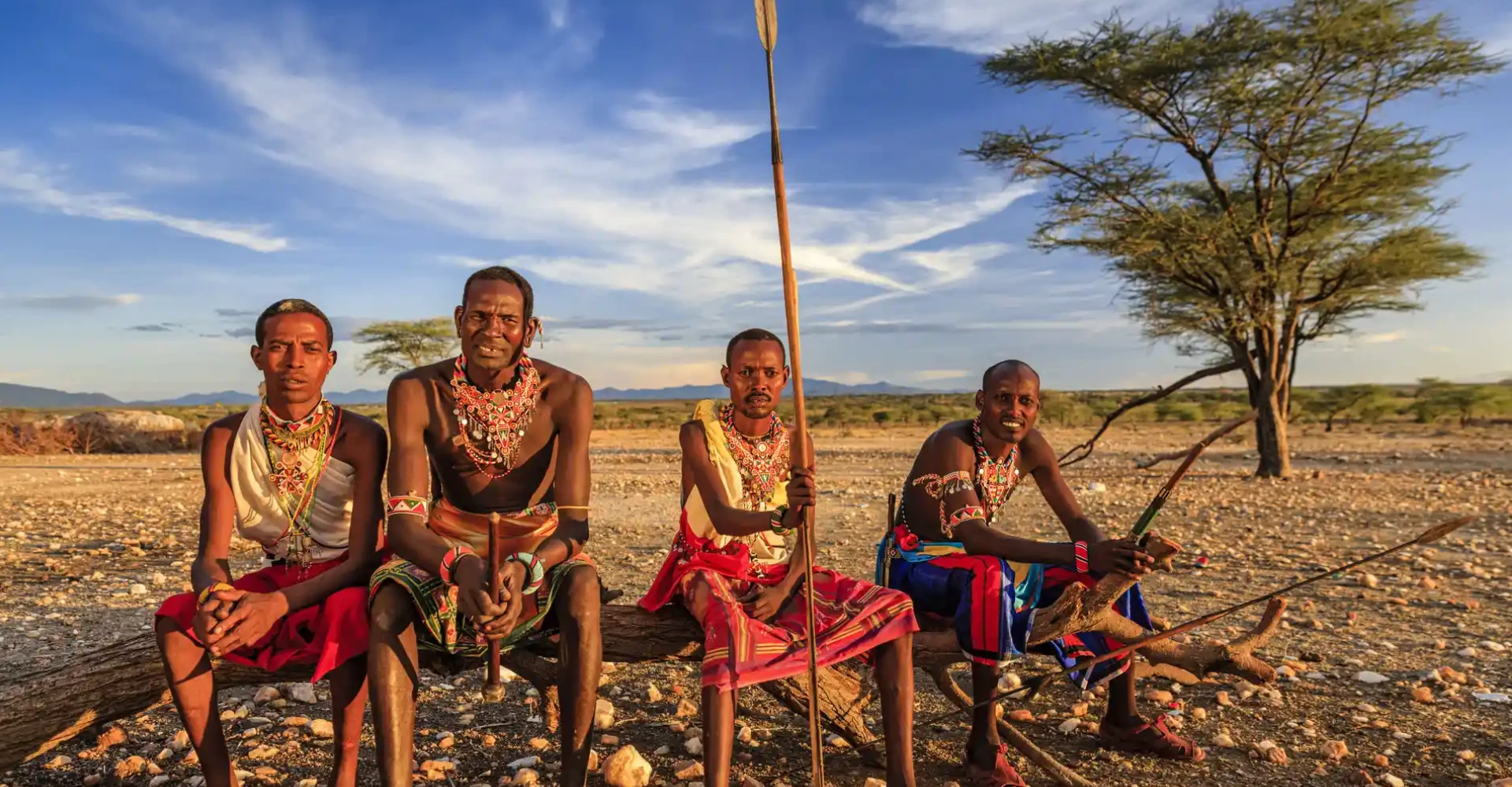 Lifetime Safaris
