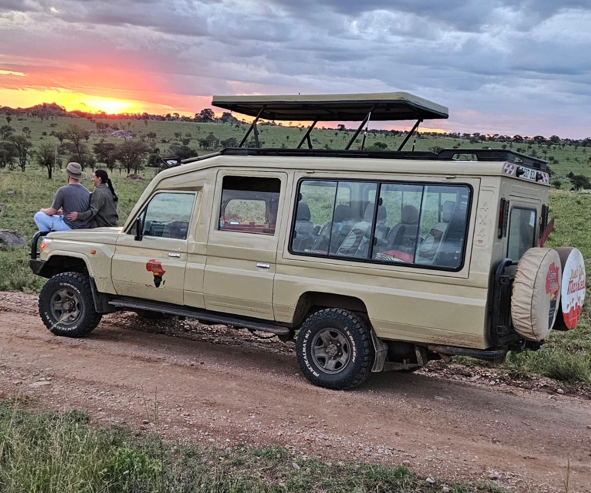 Enjoy Safari