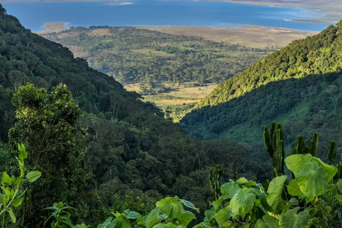 Ngorongoro Crater