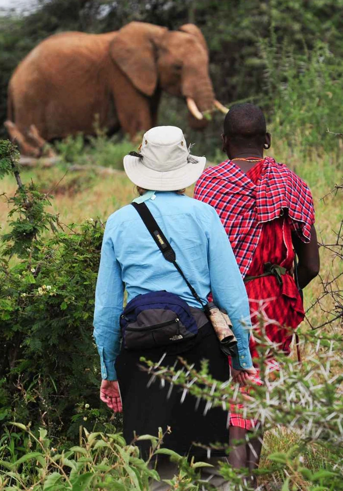 Tanzania Safari Experience
