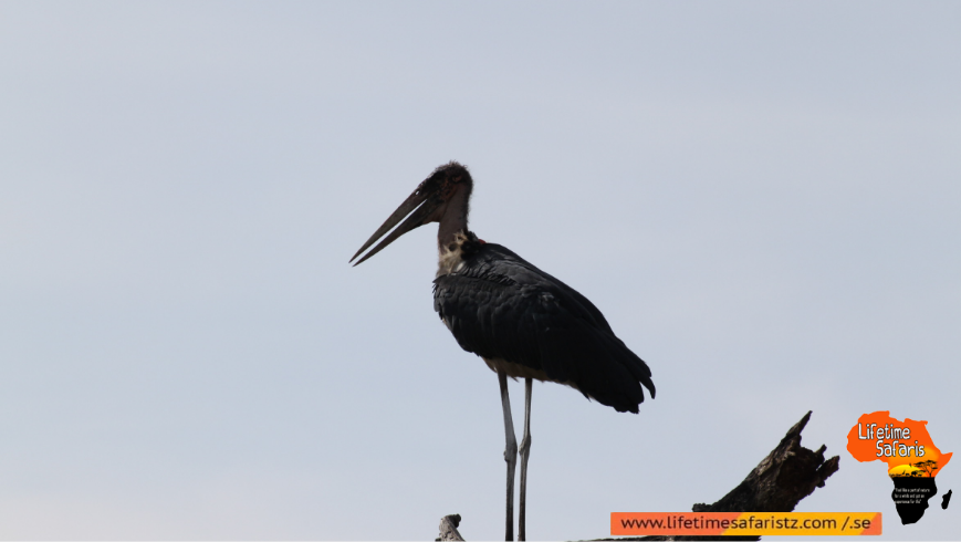 Arusha National Park