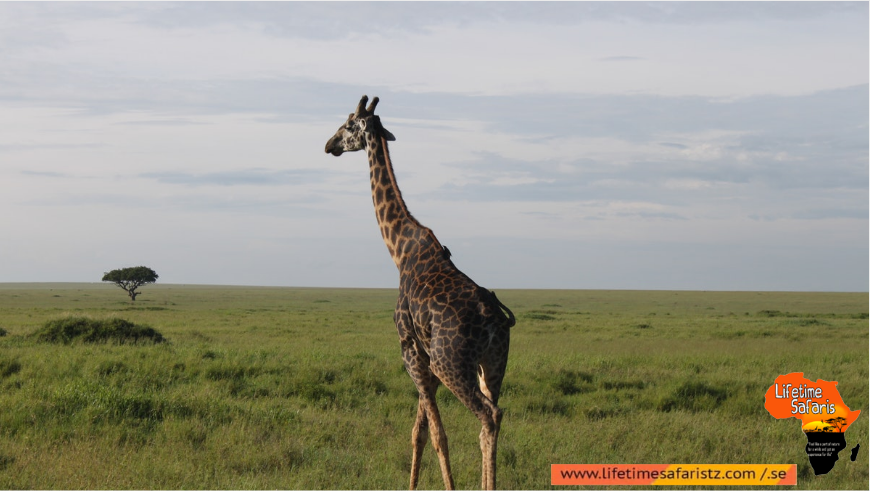 Tanzania Day Trips
