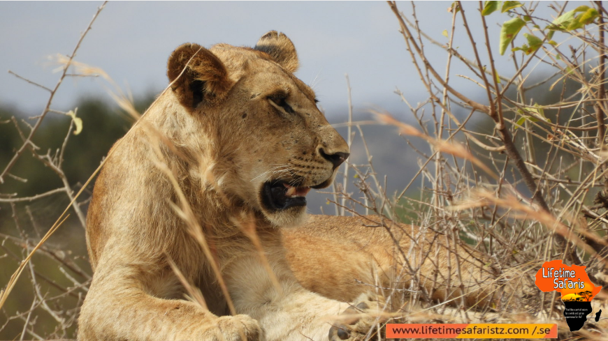Tarangire National Park