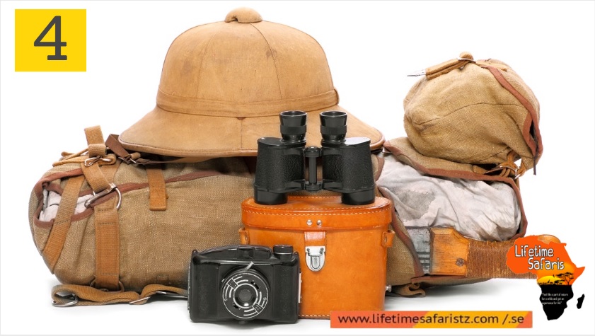 4 Tips For Making Your Tanzania Safari Tours Successful