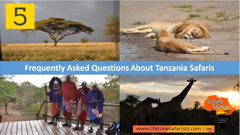 5 Tanzania Safari FAQs