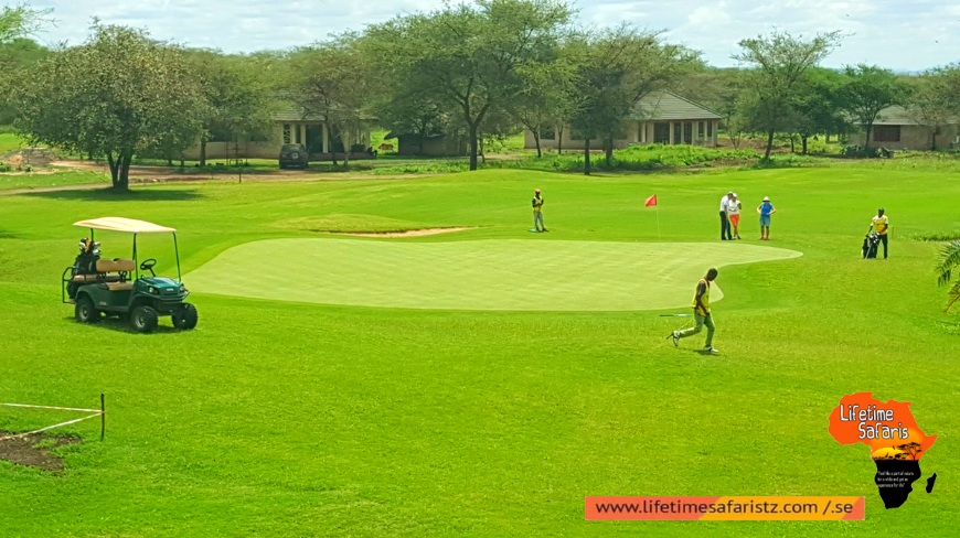 Best Time To Go On Tanzania Golf Safari Best Time To Go On Tanzania Golf Safari