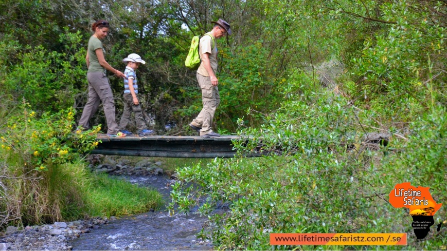 Have A Walking Safari To The National Parks Of Tanzania Have A Walking Safari To The National Parks Of Tanzania