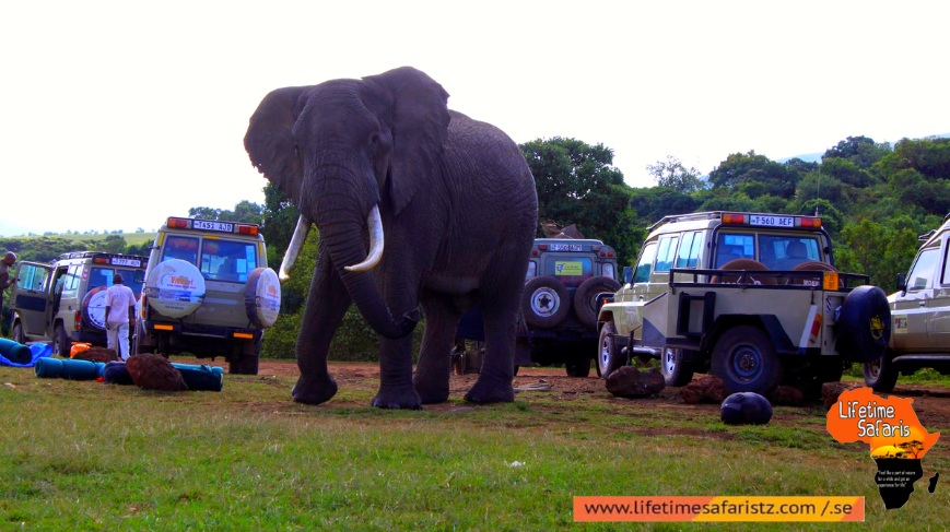 Sensational Destinations Of Tanzania Sensational Destinations Of Tanzania