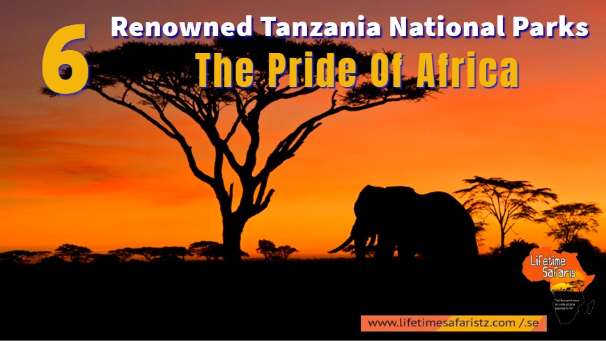 Tanzania National Parks Tanzania National Parks