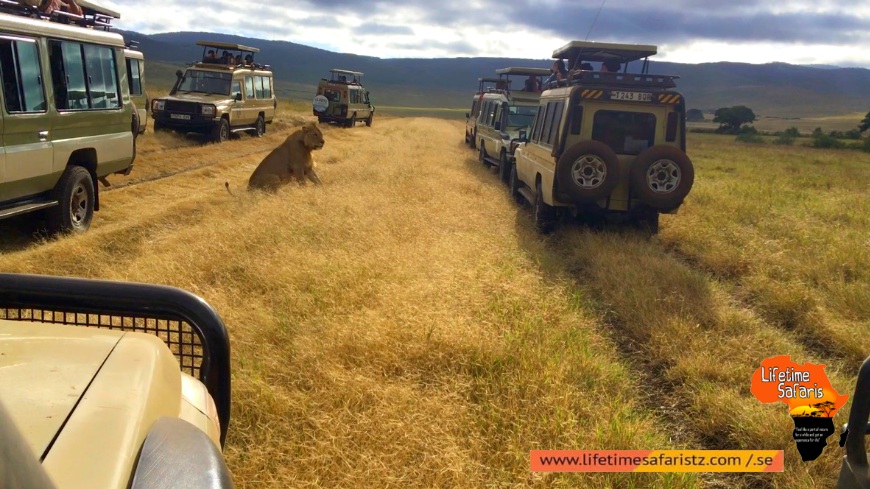 Tanzania National Parks Tanzania National Parks