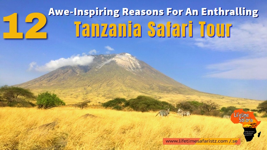 Tanzania Safari Tour Tanzania Safari Tour