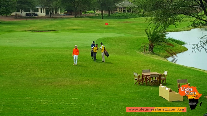 What Can You Experience In Your Tanzania Golf Safari What Can You Experience In Your Tanzania Golf Safari