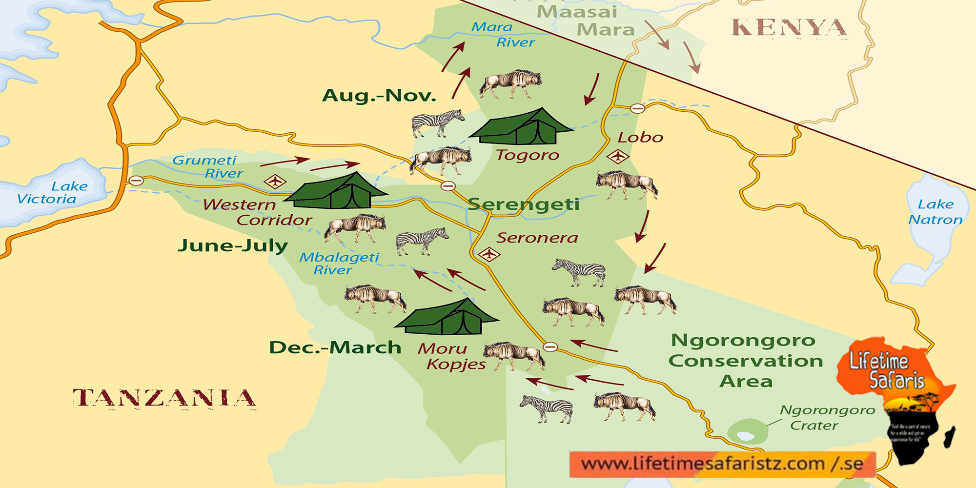 Best Location And Time To Have The Best View Of Wildebeest Migration Best Location And Time To Have The Best View Of Wildebeest Migration