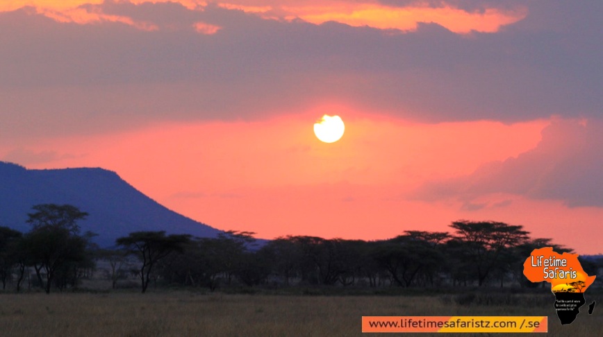 Click The Amazing Scenery Of Sunrise And Sunset Of Tanzania Click The Amazing Scenery Of Sunrise And Sunset Of Tanzania