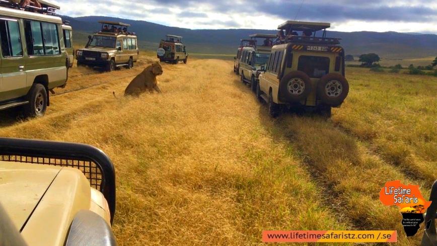 Go To The Wild Centre Of Tanzania Go To The Wild Centre Of Tanzania