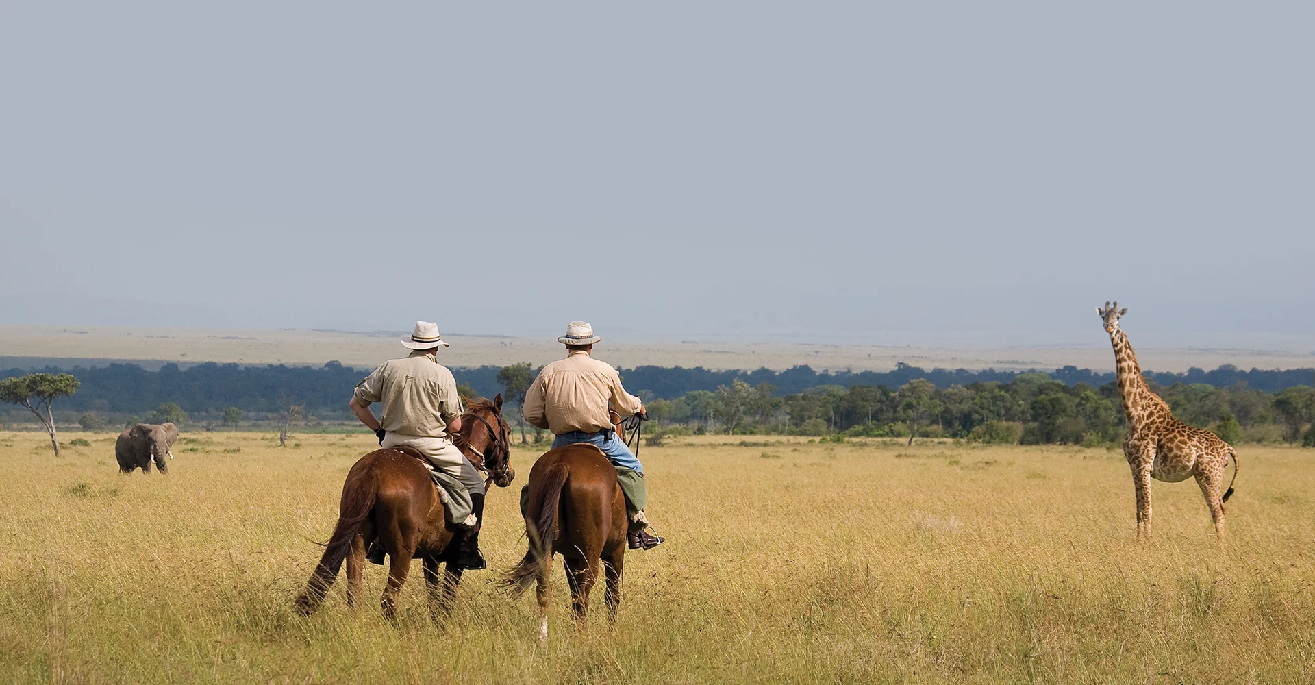 Want To Have A Dynamic And Wilder Experience? Don’t Be Hesitating To Pick Tanzania Horse Riding Safari