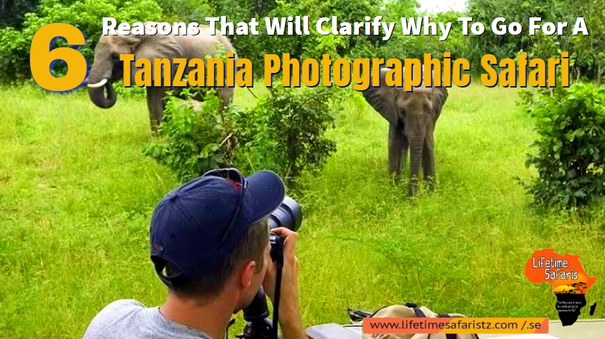 Tanzania Photographic Safari Tanzania Photographic Safari