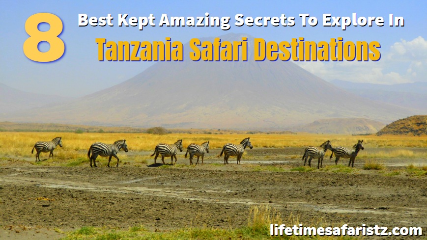 Tanzania Safari Destination Tanzania Safari Destination