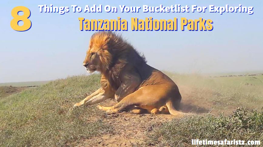 Tanzania Safari Tours Tanzania Safari Tours